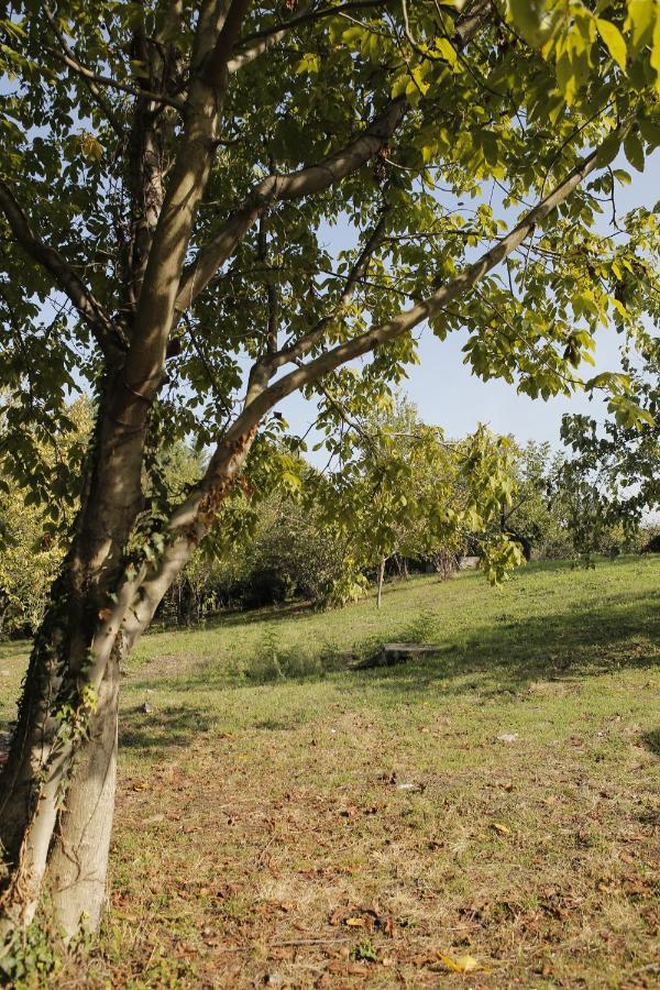 Hypnosapanca Glamping Spa Εξωτερικό φωτογραφία